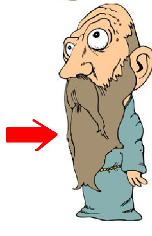 Beard. Перевод Beard. Изучение