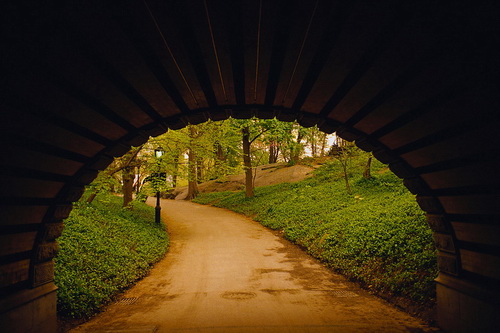 Lane. Перевод Lane. Изучение