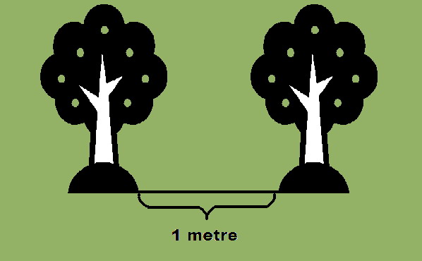 Metre. Перевод Metre. Изучение