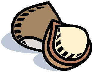 Nut. Перевод Nut. Изучение