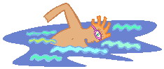 Swim. Перевод Swim. Изучение