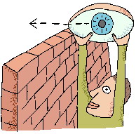 Vision. Перевод Vision. Изучение